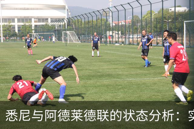 悉尼与阿德莱德联的状态分析：实力差距显现